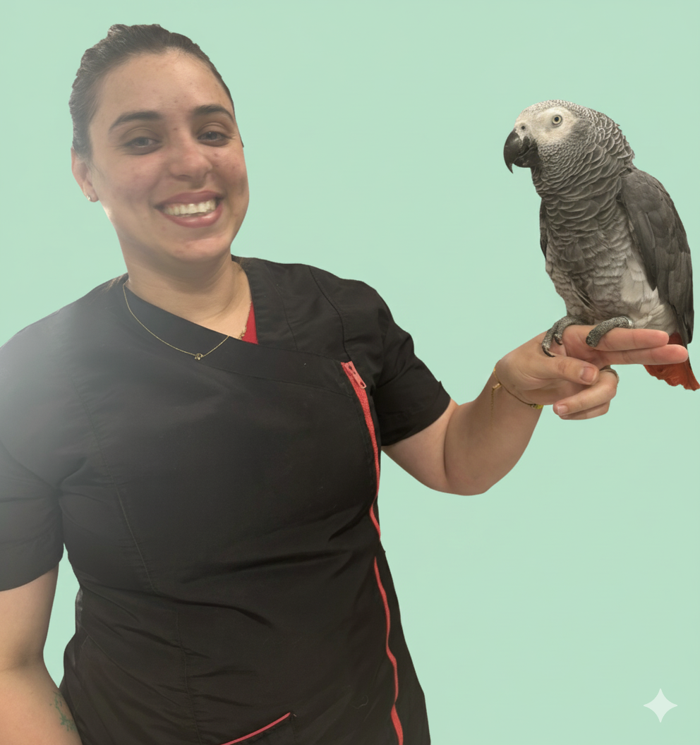 Rachel - Professional Pet Groomer